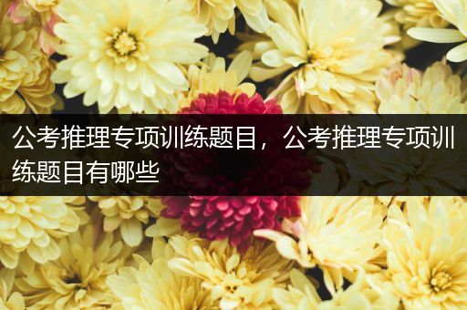 公考推理专项训练题目，公考推理专项训练题目有哪些