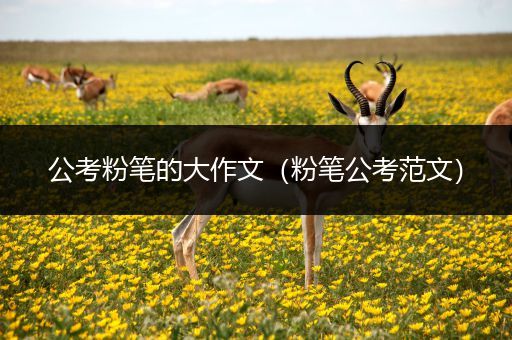 公考粉笔的大作文（粉笔公考范文）