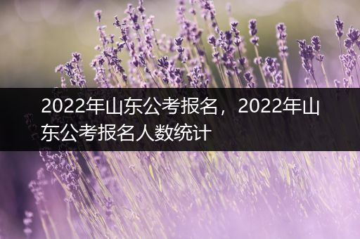 2022年山东公考报名，2022年山东公考报名人数统计