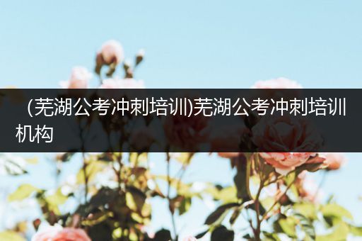 （芜湖公考冲刺培训)芜湖公考冲刺培训机构