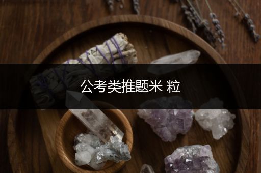 公考类推题米 粒