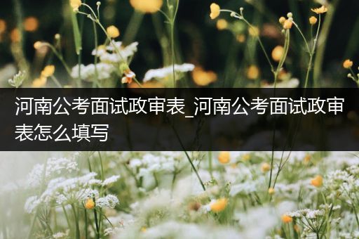 河南公考面试政审表_河南公考面试政审表怎么填写