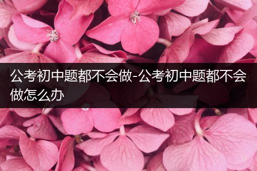 公考初中题都不会做-公考初中题都不会做怎么办