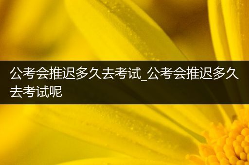公考会推迟多久去考试_公考会推迟多久去考试呢