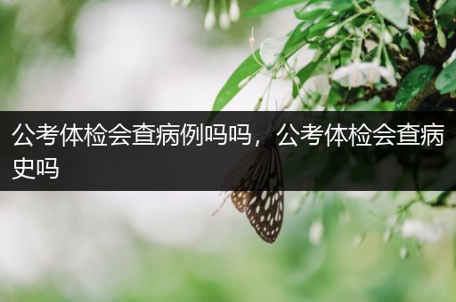 公考体检会查病例吗吗，公考体检会查病史吗