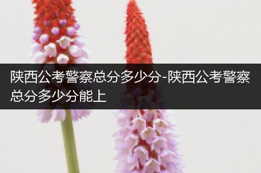 陕西公考警察总分多少分-陕西公考警察总分多少分能上