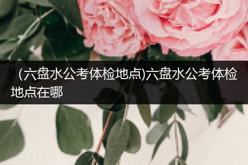 （六盘水公考体检地点)六盘水公考体检地点在哪