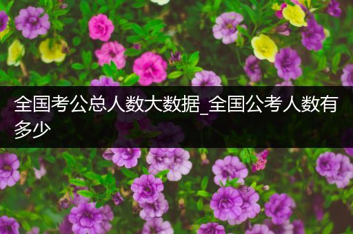 全国考公总人数大数据_全国公考人数有多少