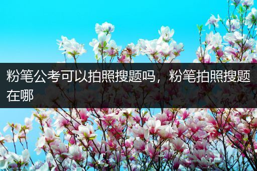 粉笔公考可以拍照搜题吗，粉笔拍照搜题在哪