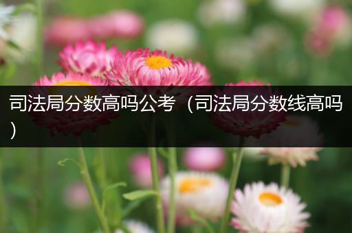 司法局分数高吗公考（司法局分数线高吗）