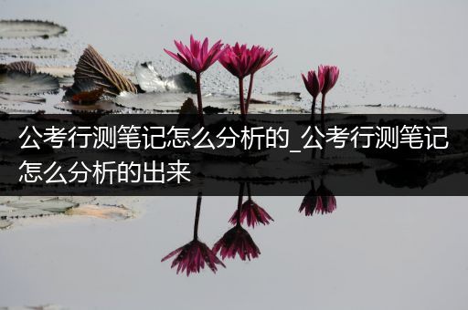公考行测笔记怎么分析的_公考行测笔记怎么分析的出来