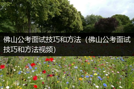 佛山公考面试技巧和方法（佛山公考面试技巧和方法视频）
