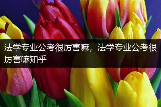 法学专业公考很厉害嘛，法学专业公考很厉害嘛知乎