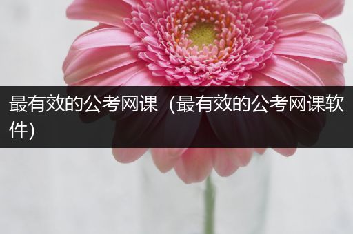 最有效的公考网课（最有效的公考网课软件）
