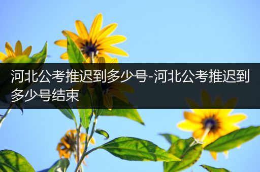 河北公考推迟到多少号-河北公考推迟到多少号结束