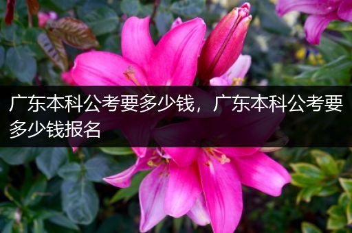 广东本科公考要多少钱，广东本科公考要多少钱报名