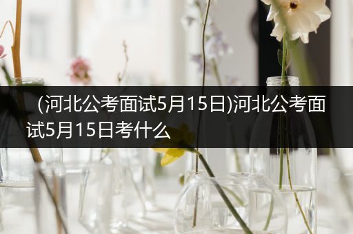 （河北公考面试5月15日)河北公考面试5月15日考什么