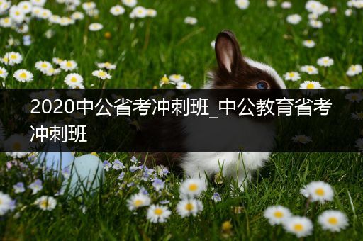 2020中公省考冲刺班_中公教育省考冲刺班