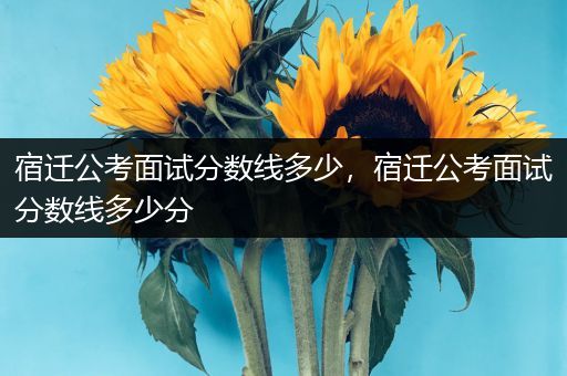 宿迁公考面试分数线多少，宿迁公考面试分数线多少分