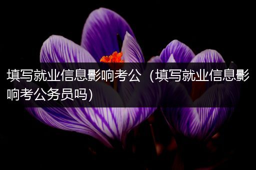 填写就业信息影响考公（填写就业信息影响考公务员吗）
