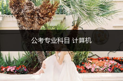 公考专业科目 计算机