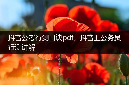 抖音公考行测口诀pdf，抖音上公务员行测讲解