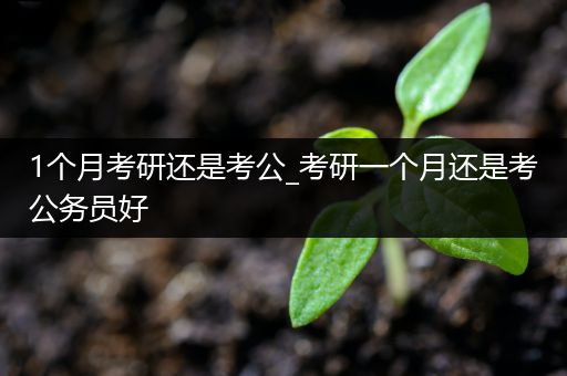 1个月考研还是考公_考研一个月还是考公务员好