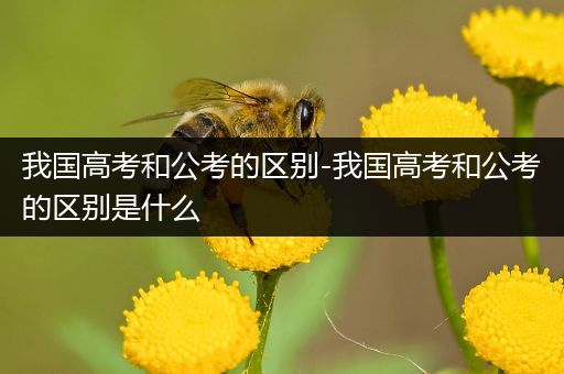 我国高考和公考的区别-我国高考和公考的区别是什么