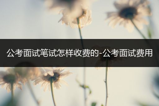 公考面试笔试怎样收费的-公考面试费用
