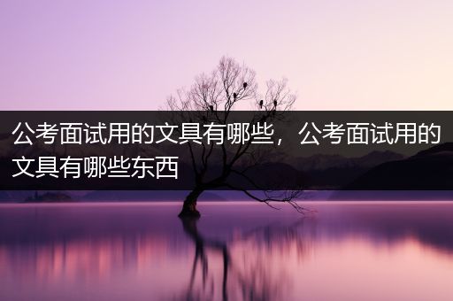公考面试用的文具有哪些，公考面试用的文具有哪些东西