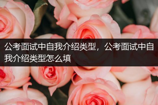 公考面试中自我介绍类型，公考面试中自我介绍类型怎么填