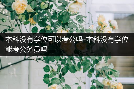 本科没有学位可以考公吗-本科没有学位能考公务员吗