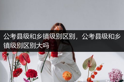 公考县级和乡镇级别区别，公考县级和乡镇级别区别大吗
