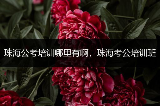 珠海公考培训哪里有啊，珠海考公培训班