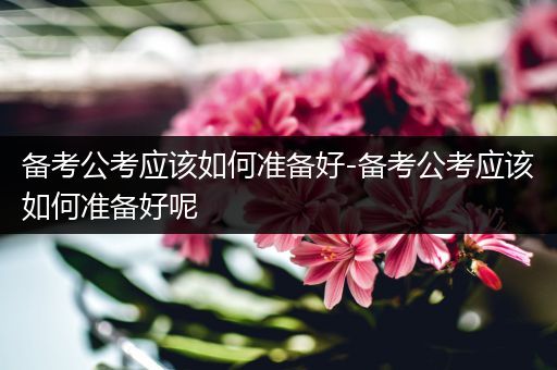备考公考应该如何准备好-备考公考应该如何准备好呢