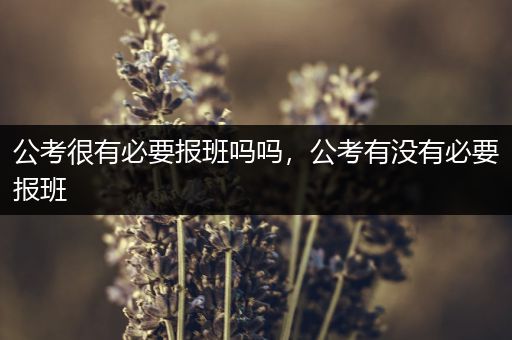 公考很有必要报班吗吗，公考有没有必要报班