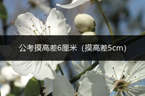 公考摸高差6厘米（摸高差5cm）