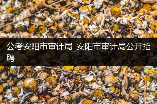 公考安阳市审计局_安阳市审计局公开招聘