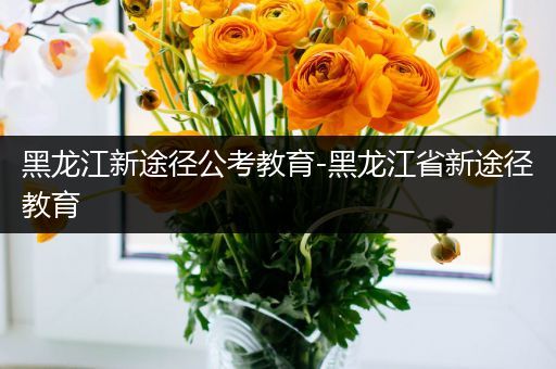 黑龙江新途径公考教育-黑龙江省新途径教育