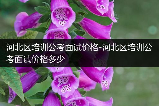 河北区培训公考面试价格-河北区培训公考面试价格多少