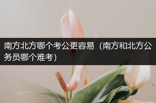 南方北方哪个考公更容易（南方和北方公务员哪个难考）