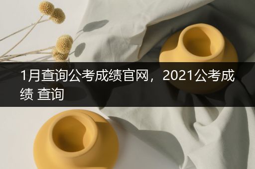 1月查询公考成绩官网，2021公考成绩 查询