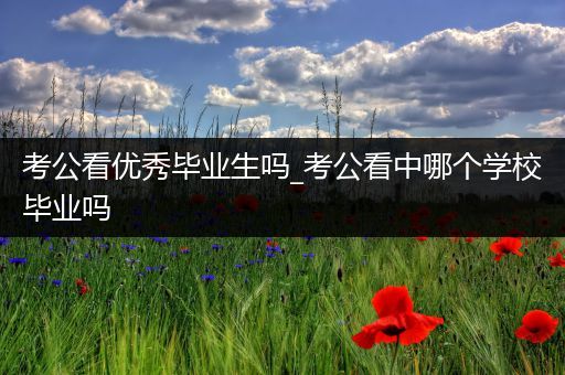 考公看优秀毕业生吗_考公看中哪个学校毕业吗