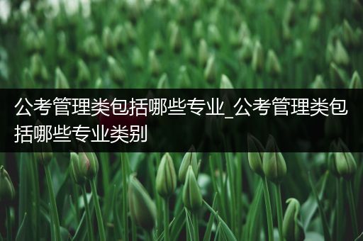公考管理类包括哪些专业_公考管理类包括哪些专业类别