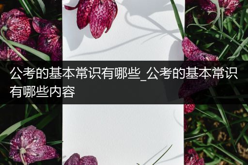 公考的基本常识有哪些_公考的基本常识有哪些内容