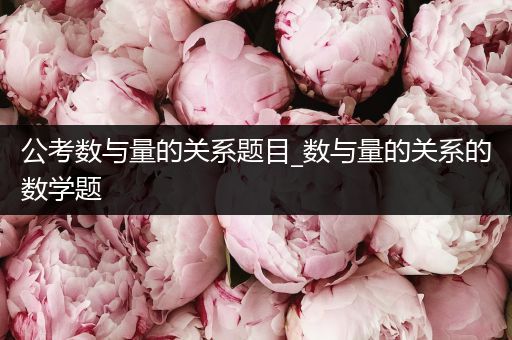 公考数与量的关系题目_数与量的关系的数学题