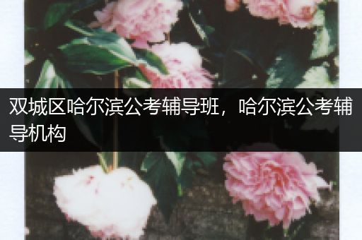 双城区哈尔滨公考辅导班，哈尔滨公考辅导机构
