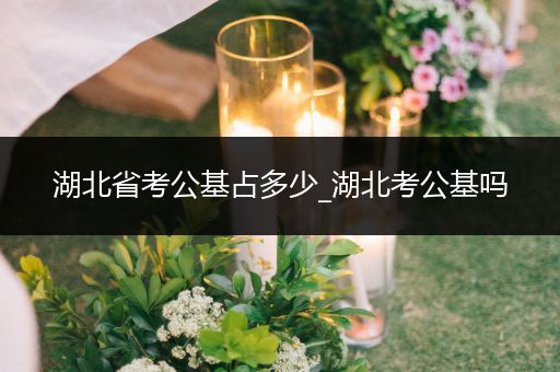 湖北省考公基占多少_湖北考公基吗
