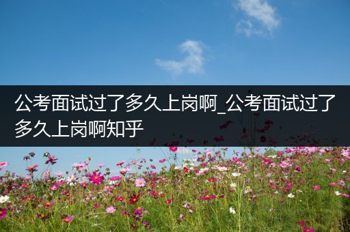 公考面试过了多久上岗啊_公考面试过了多久上岗啊知乎