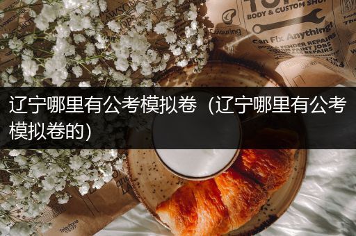 辽宁哪里有公考模拟卷（辽宁哪里有公考模拟卷的）